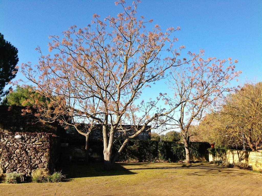 Tenuta Sant'Andrea Giuggianello Dış mekan fotoğraf