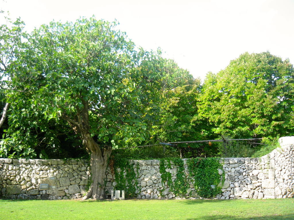Tenuta Sant'Andrea Giuggianello Dış mekan fotoğraf